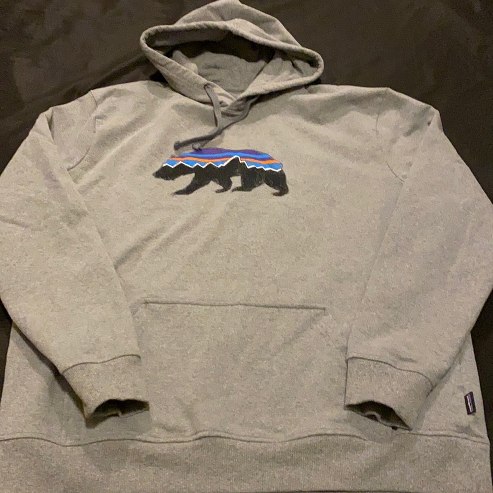 Patagonia hooded sweatshirt